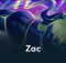len do zac dtcl mua 15 voi trang bi chuan meta tft