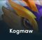 Lên đồ Kog'Maw Carry DTCL mùa 15 build đội hình TFT Mobile